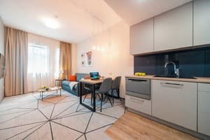 Апарт-отель Сити Парк Киев. Апартаменты двухместный Park Apartment 4