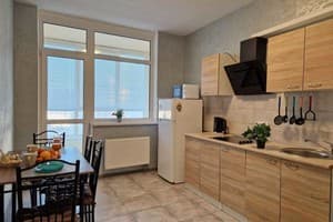 Квартира проспект Европейского Союза, 41. Апартаменты двухместный 7 этаж 13